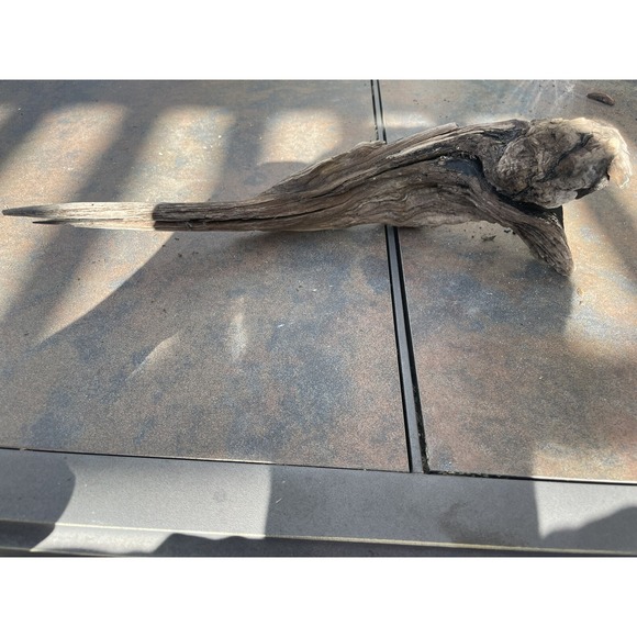 Other - Natural Driftwood for Plants Terrarium Taxidermy Art Projects